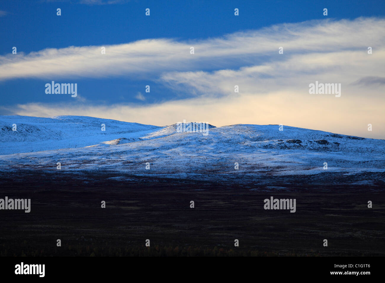 Dovre Nationalpark Norway Stock Photo