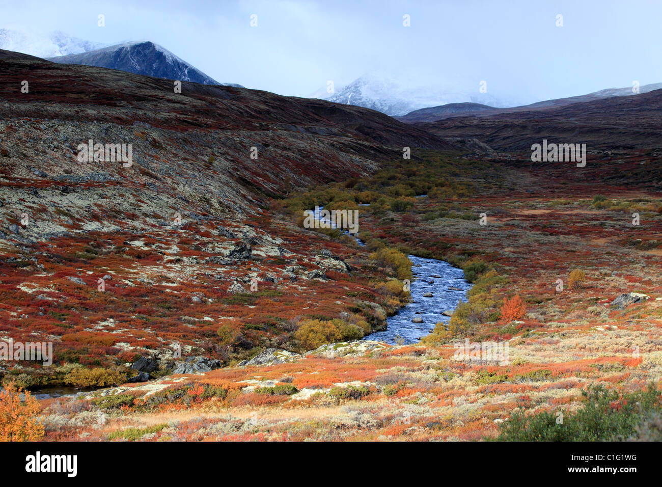 Dovre Nationalpark Norway Stock Photo