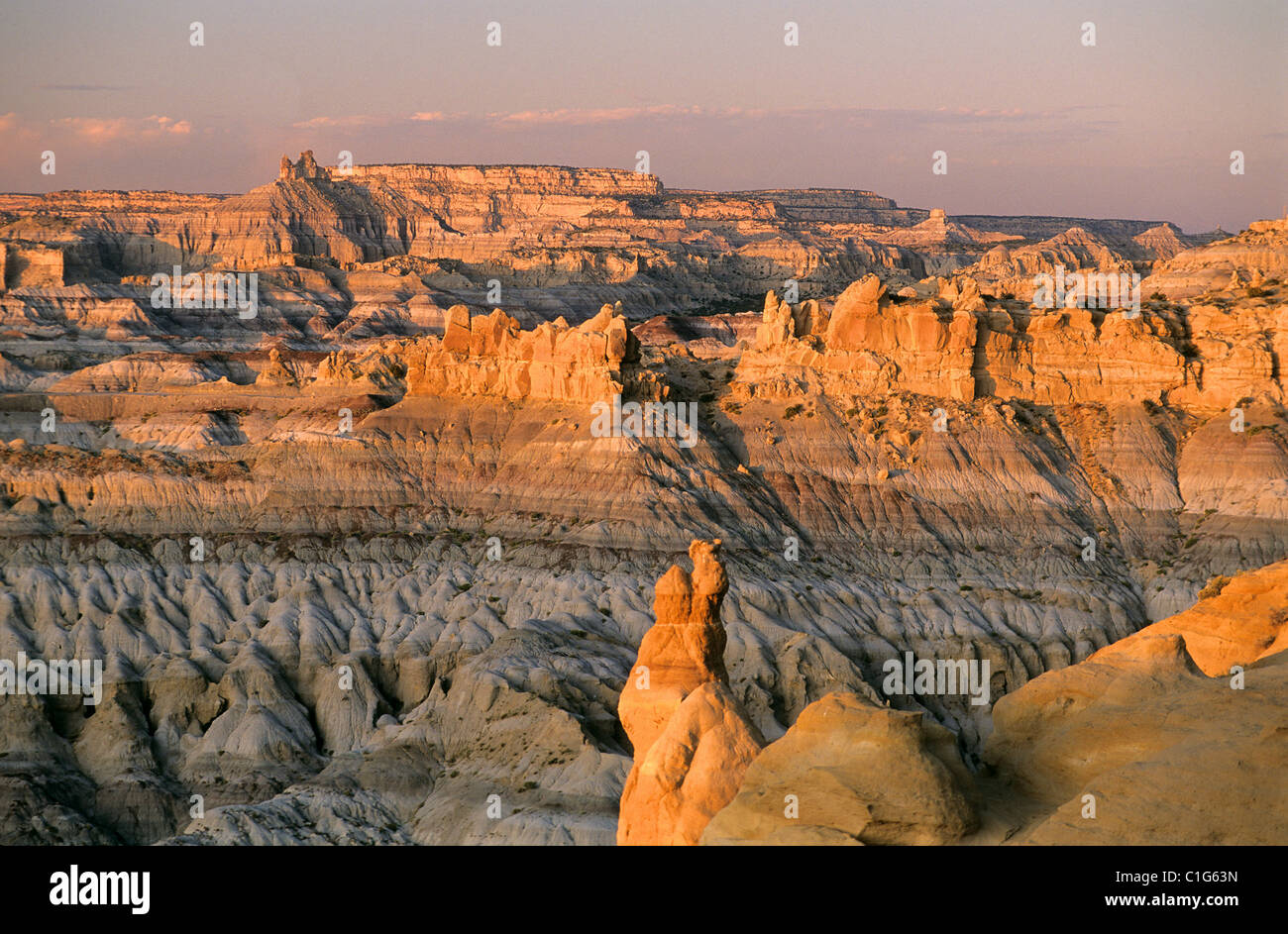 UnitedStates, New Mexico, Navajo Nation, Angel Peak park Stock Photo