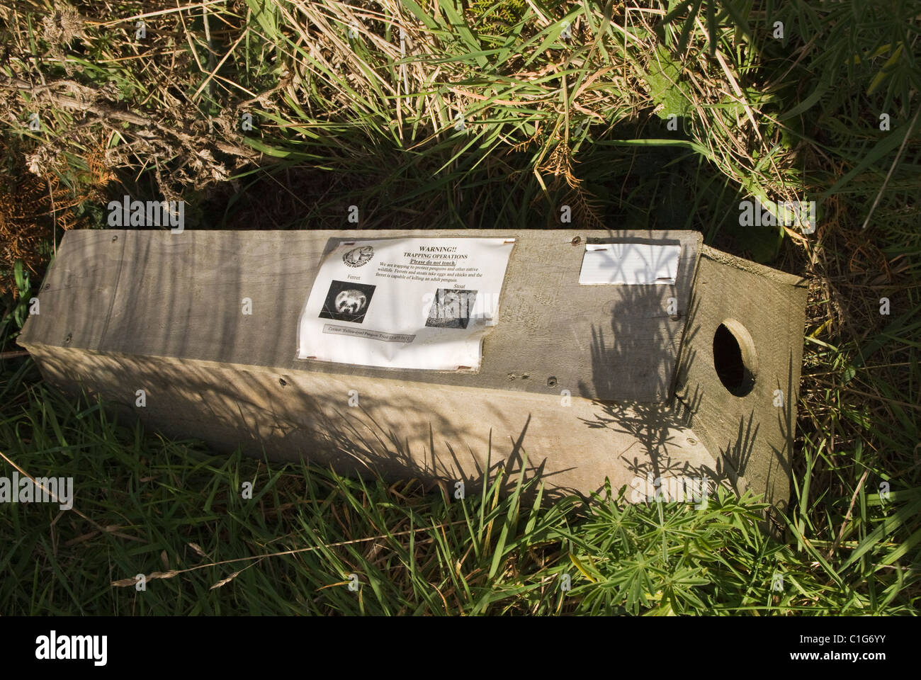 Stoat trap new zealand hires stock photography and images Alamy