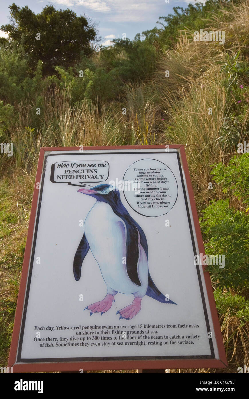 Yellow-eyed penguin conservation sign, Otago, South Island, New Zealand