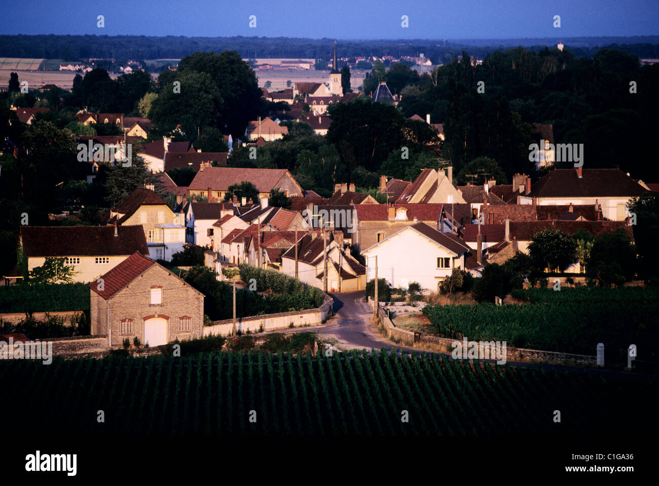 France, Cote d'Or, Cote de Nuits appelation, Clos Vougeot village Stock Photo