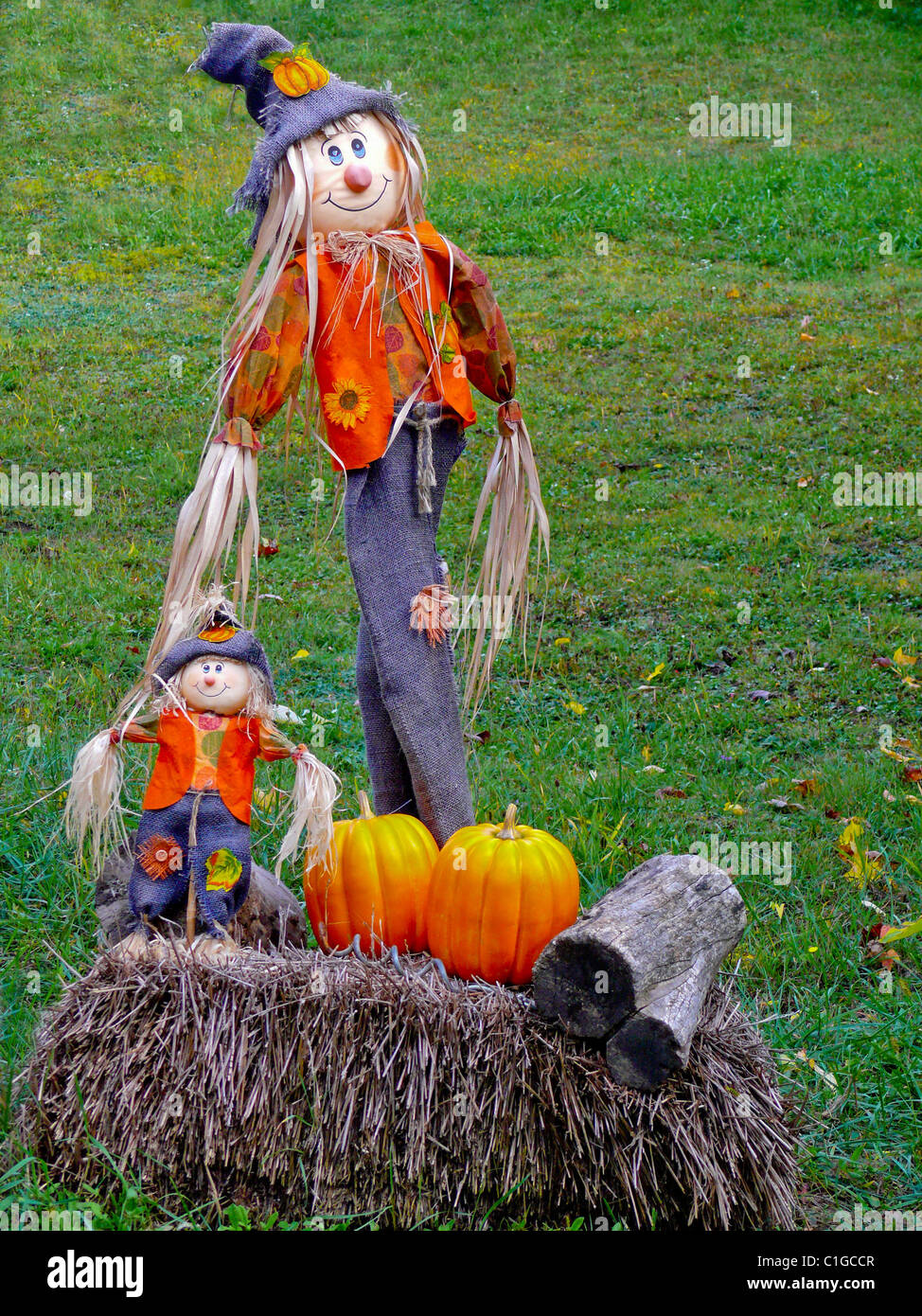 Two Scarecrows in a Field Stock Photo