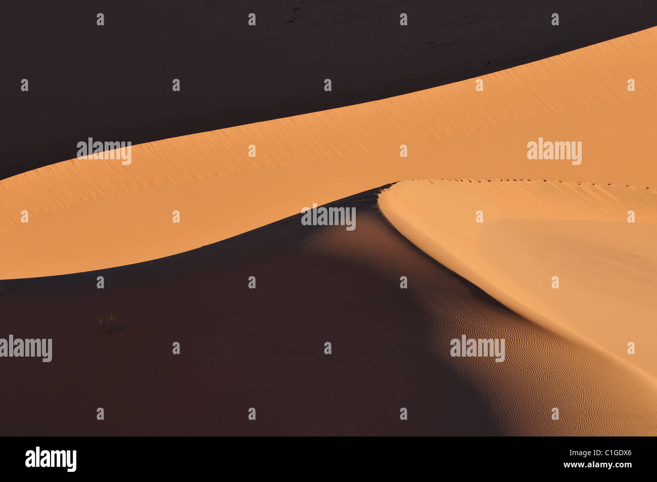 Dunendetail hi-res stock photography and images - Alamy