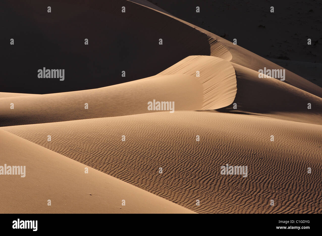 Dune texture Stock Photo