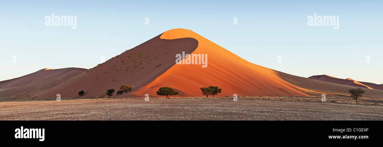 View of the sand dunes at Sossusvlei in the Namib desert. Namib Stock Photo