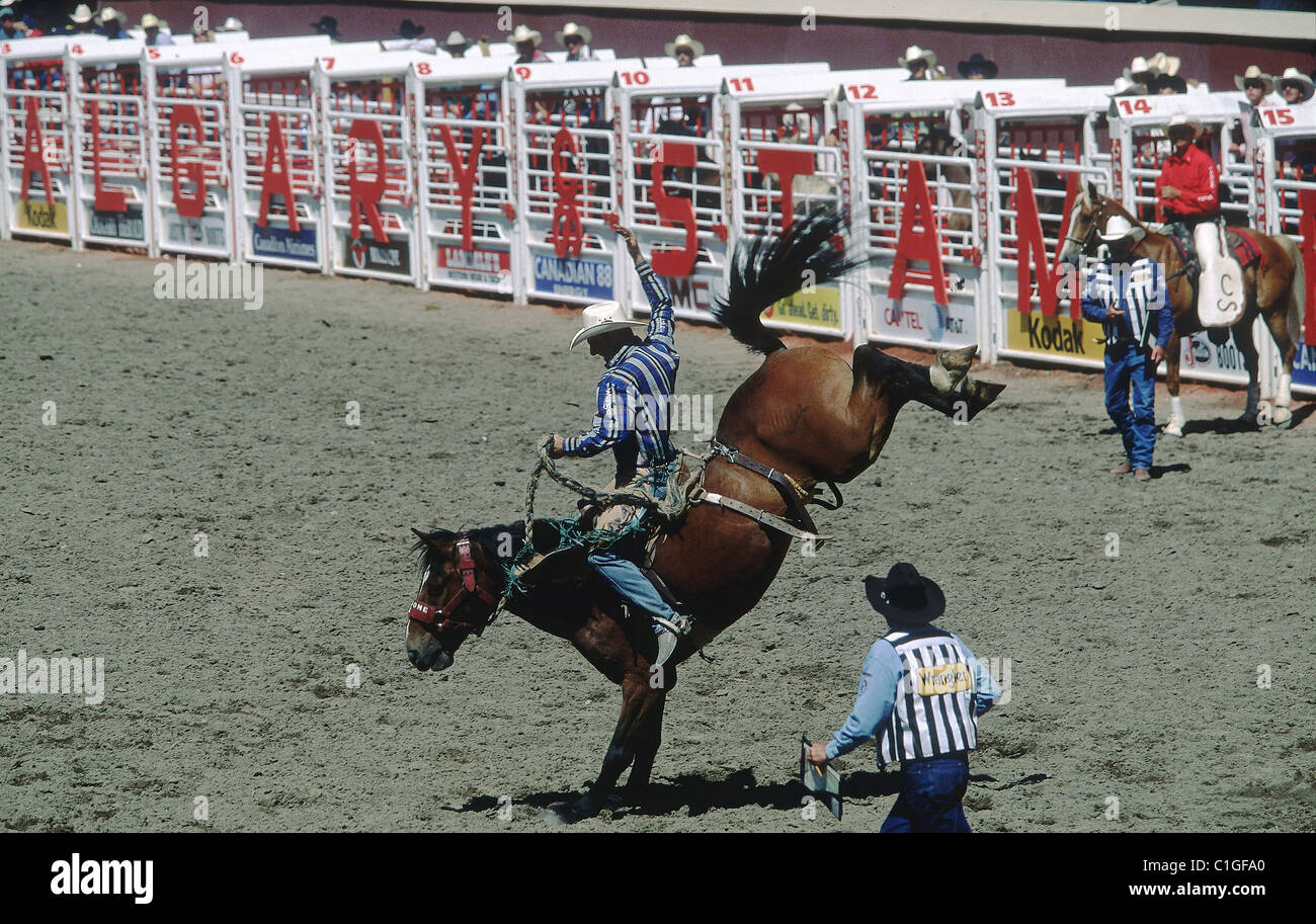 Canada, Alberta, Calgary great Stampede most famous rodeo in America