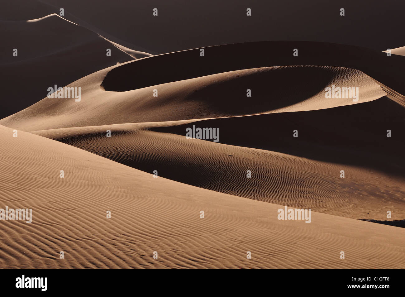 Dune texture Stock Photo