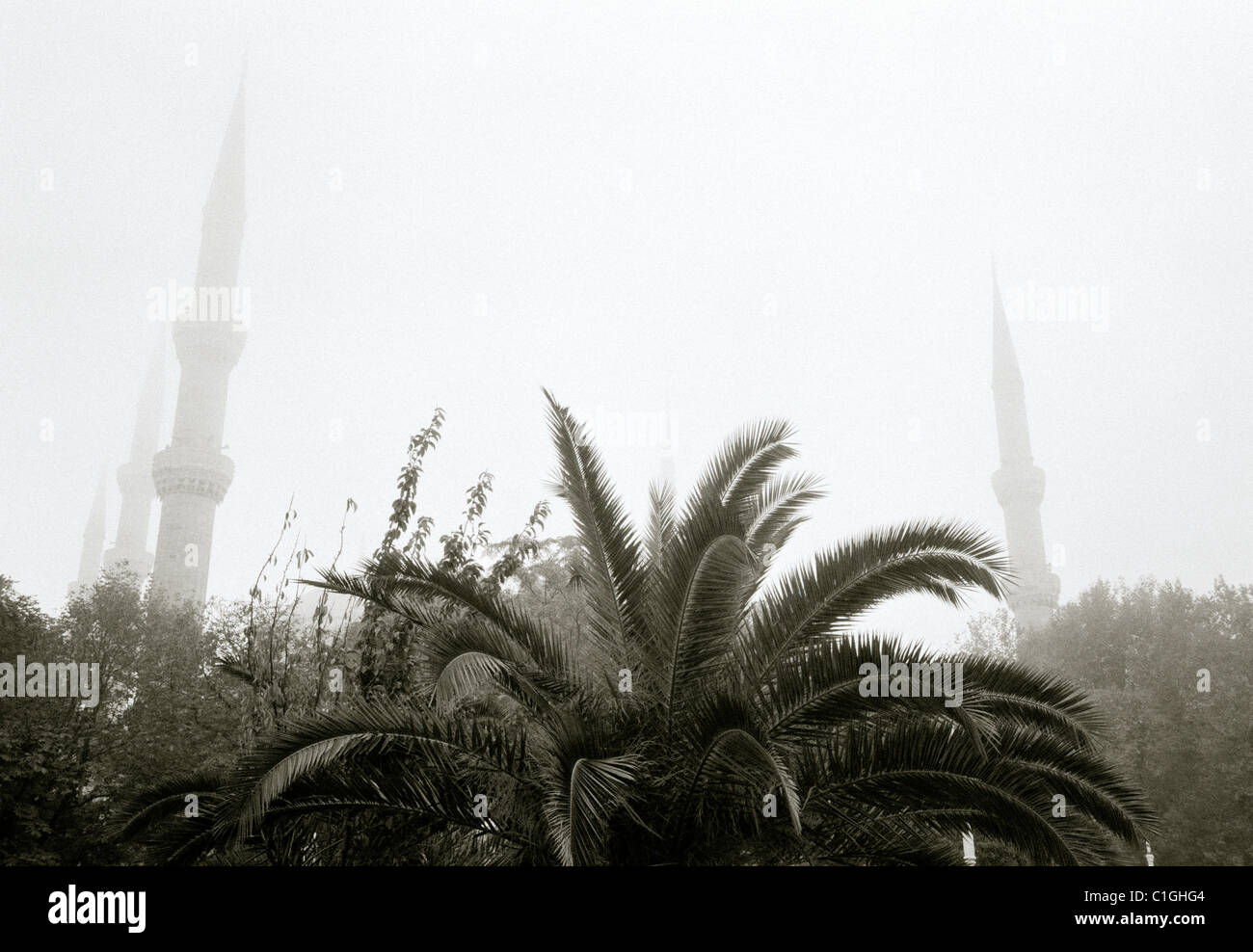 Blue Mosque or Sultan Ahmet Ahmed Camii in Sultanhamet in Istanbul in ...