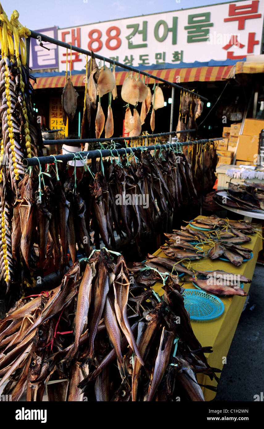 South Korea, Seoul, dried fishs Stock Photo Alamy