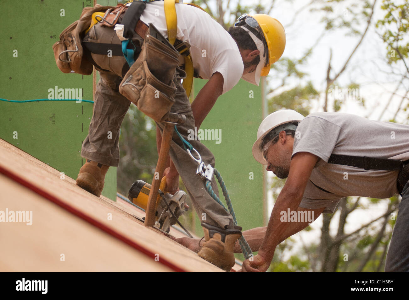 Carpenters with safety harness using circular saw to trim skylight opening in roof Stock Photo