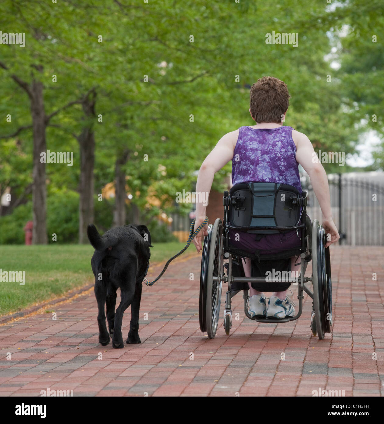 Woman with multiple sclerosis in a park with a service dog Stock Photo