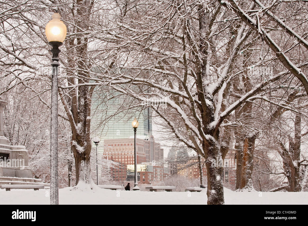 Snow covered trees with lampposts in a public park, Boston Common