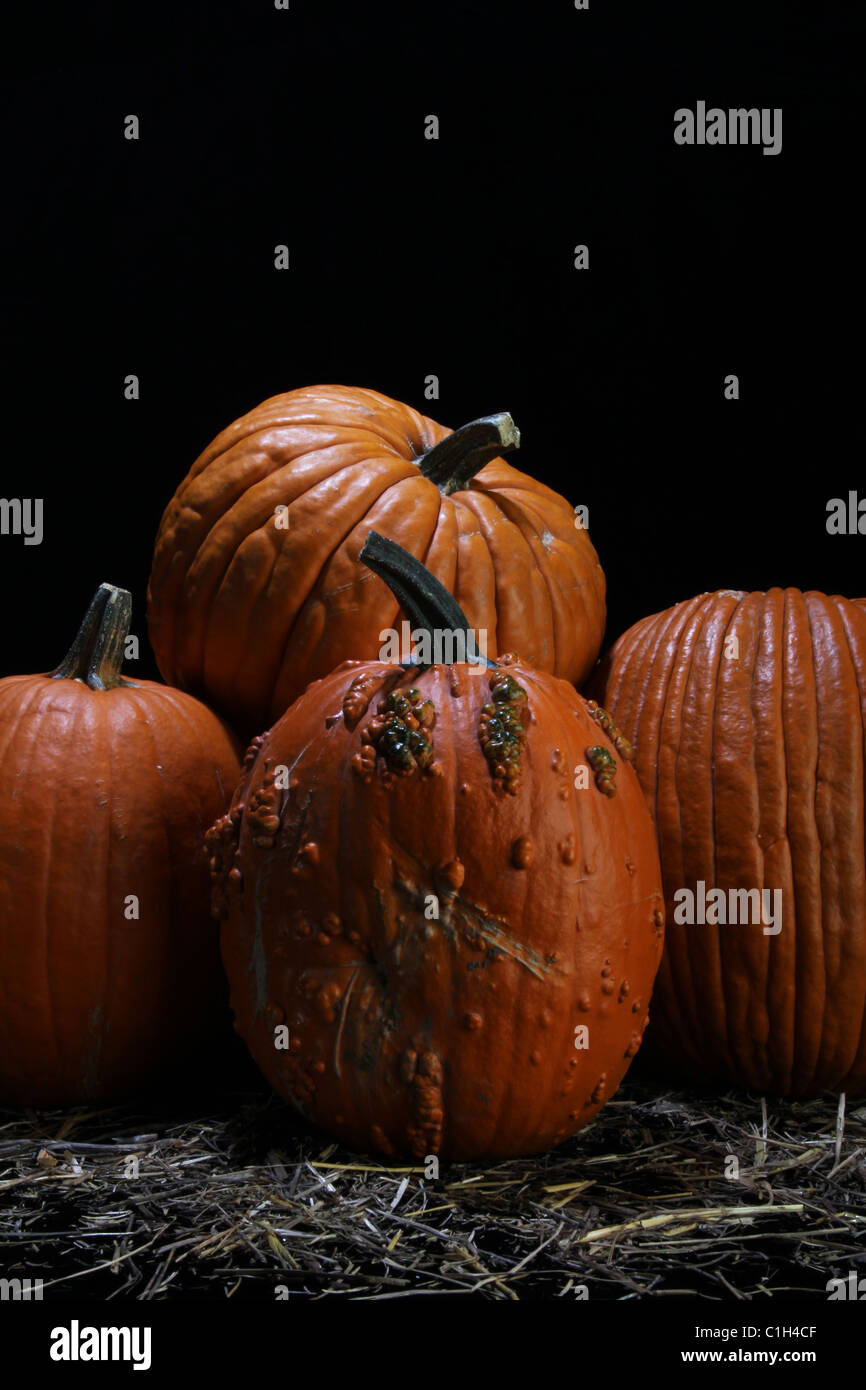A pile of Pumpkins Stock Photo - Alamy