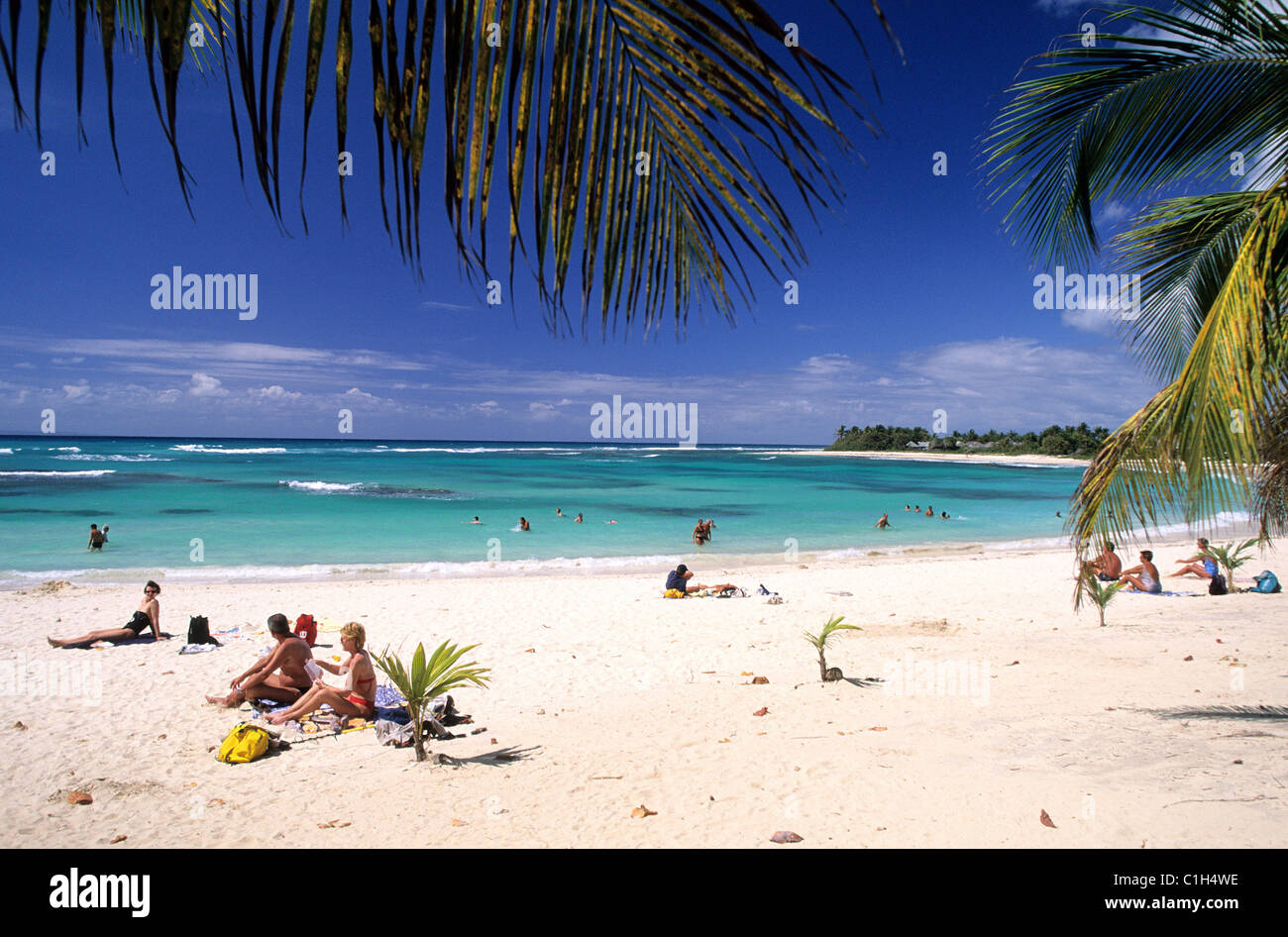 France Guadeloupe Grande Terre Raisins Clairs Beach Stock