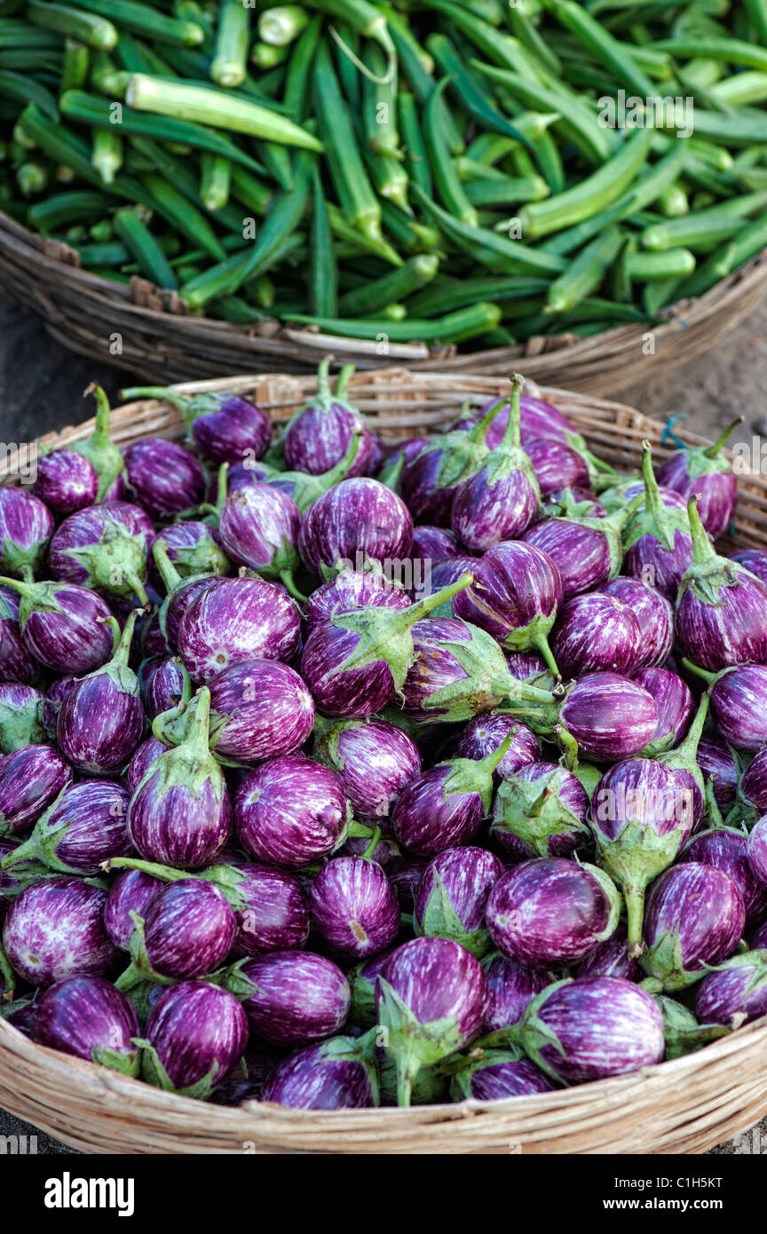 Indian vegetables. Eggplant / Aubergine or Brinjal in a basket at an ...