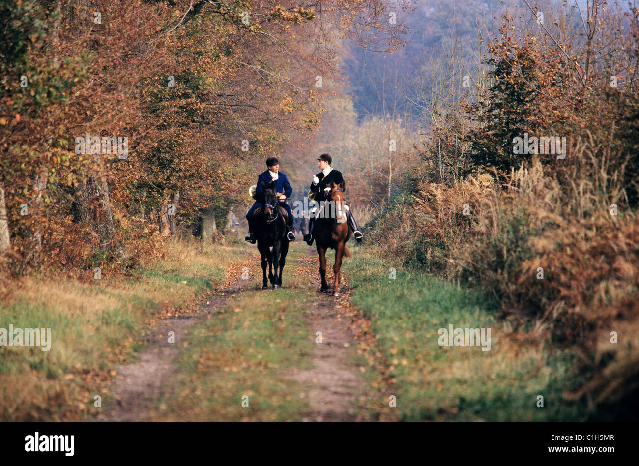 France, Oise, Pierrefonds, venerie, hunting Stock Photo