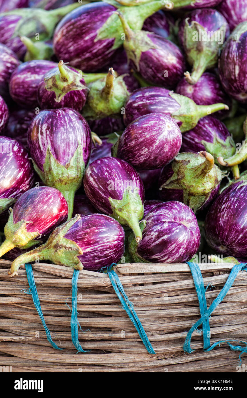 Indian vegetables. Eggplant / Aubergine or Brinjal in baskets at an