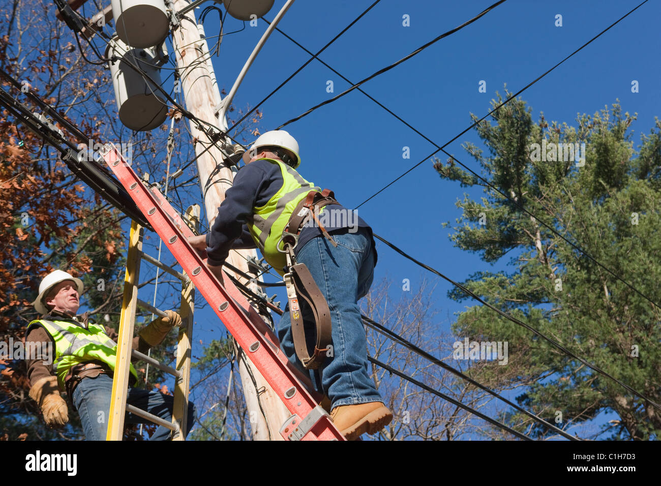 Installing Reflective Tree Stock Photos & Installing Reflective Tree