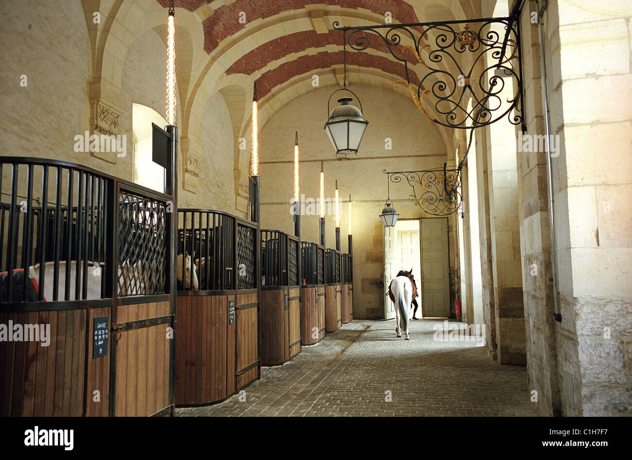 France, Yvelines, Versailles, Academy of Equestrian Arts, stables Stock
