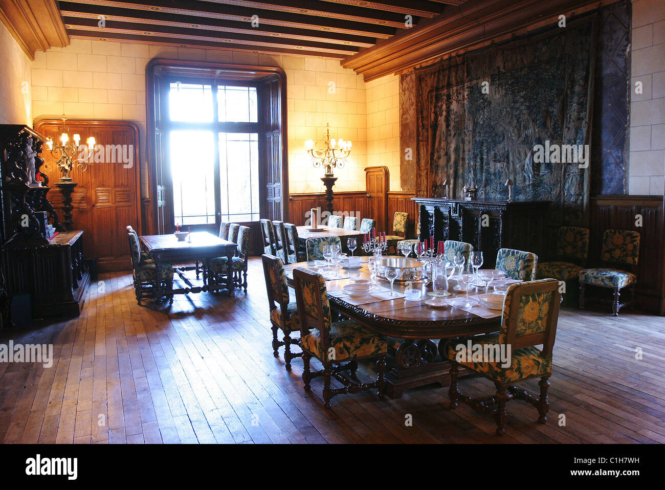 France, Allier, castle of Busset, near Saint Yorre, Bourbonnais Stock Photo