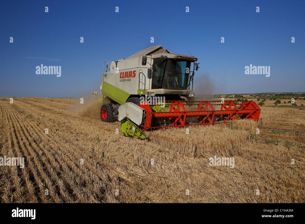Combine harvester on field of wheat Stock Photo - Alamy