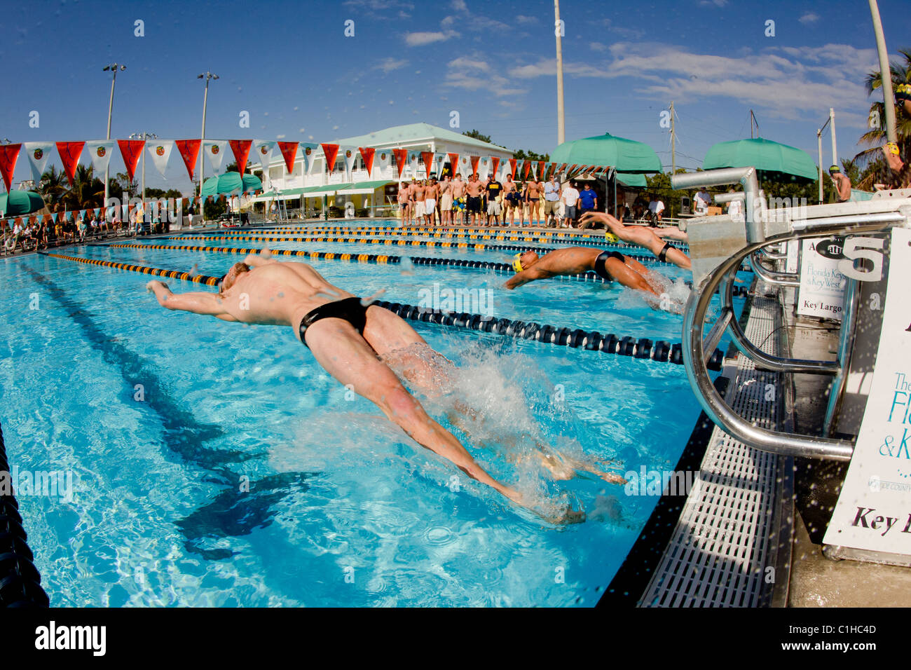 Male competitors in the collegiate Orange Bowl Swimming Classic at start of backstroke event Stock Photo