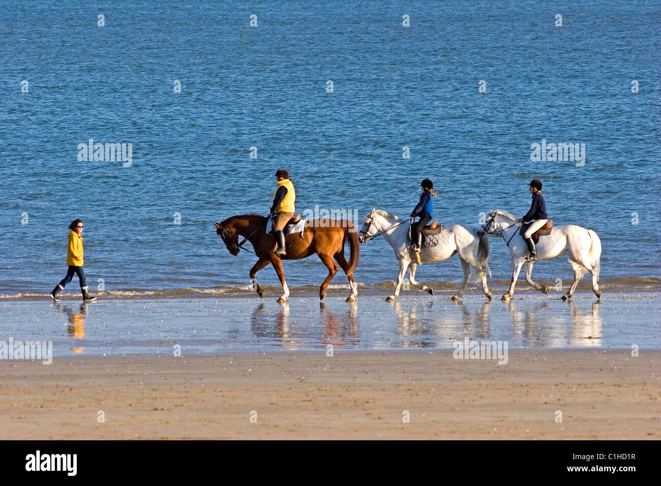 France, Loire Atlantique, La Baule beach, horse walk Stock Photo
