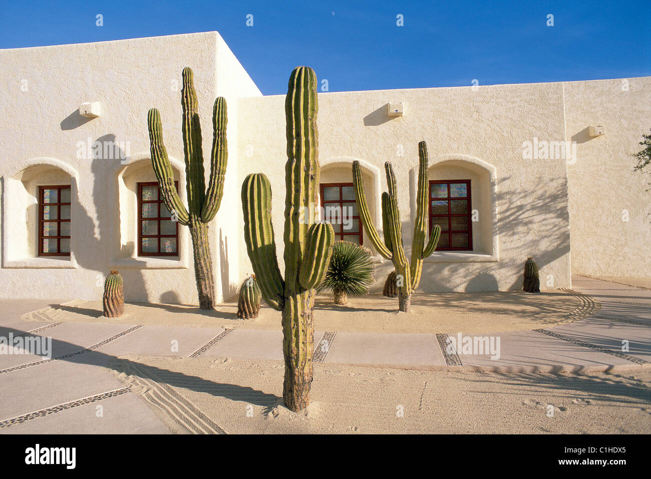 Mexico Baja California Sur State Los