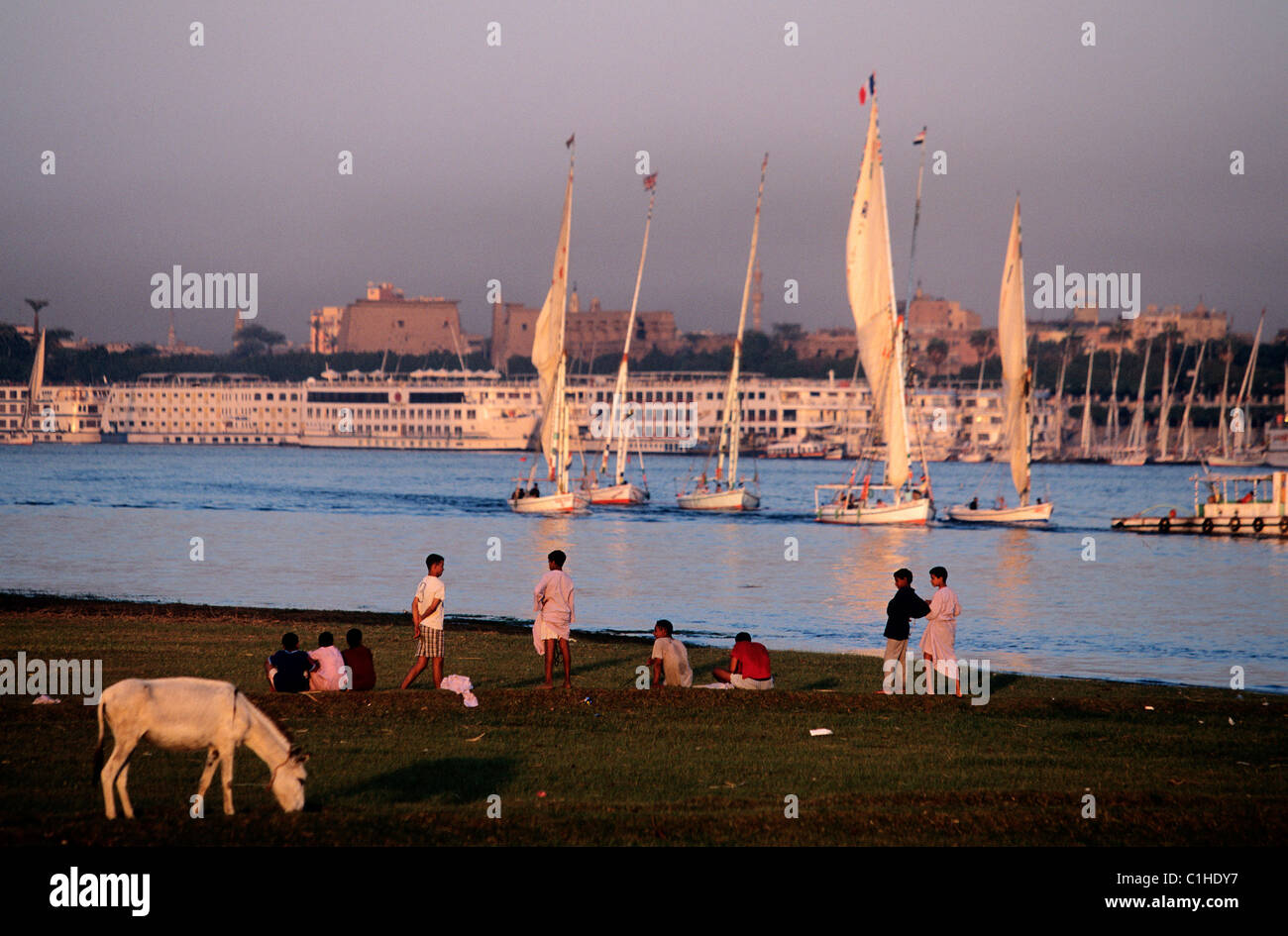 Egypt, Luxor, edges of the Nile Stock Photo