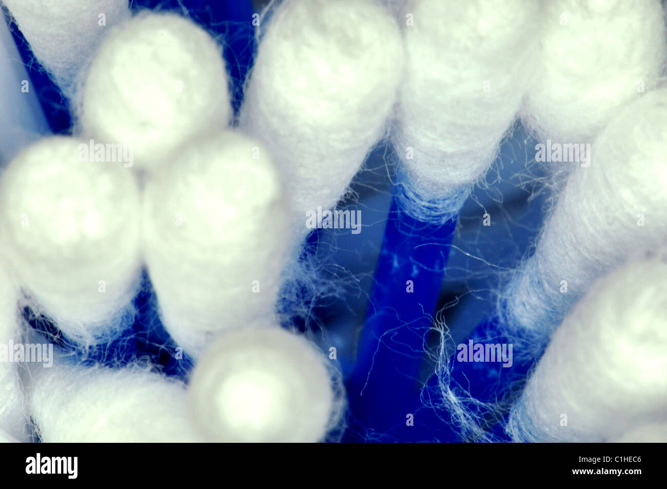 Close up of cotton ear buds Stock Photo Alamy