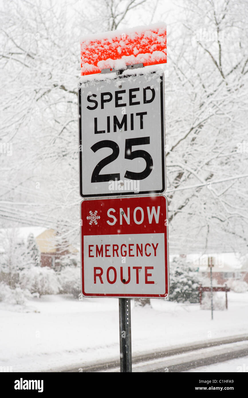 A snow emergency route and speed limit sign seen during a heavy