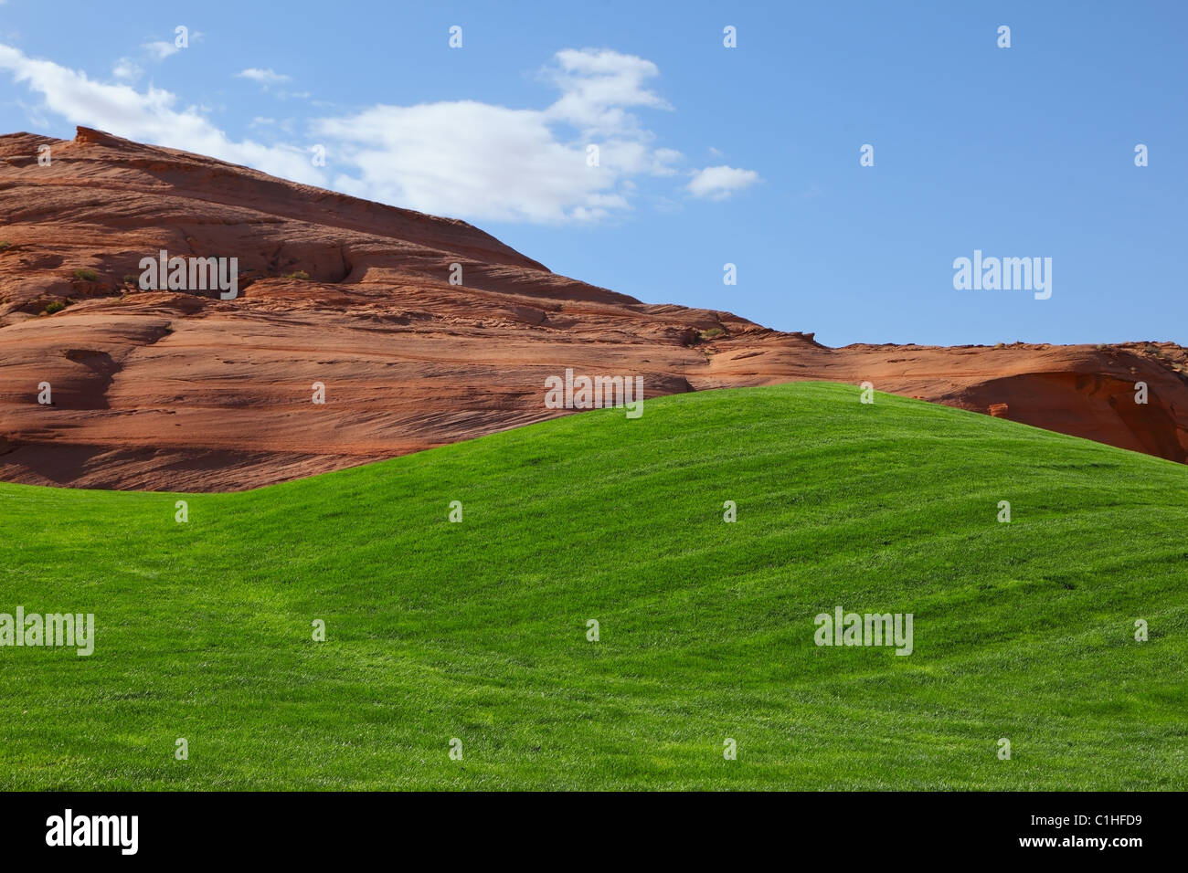 Bright green field for a golf Stock Photo