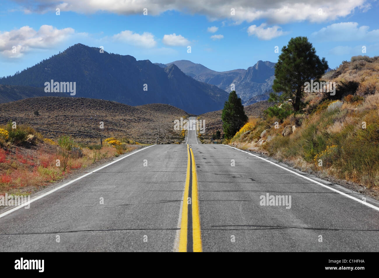 Great American road goes through the beautiful desert Stock Photo