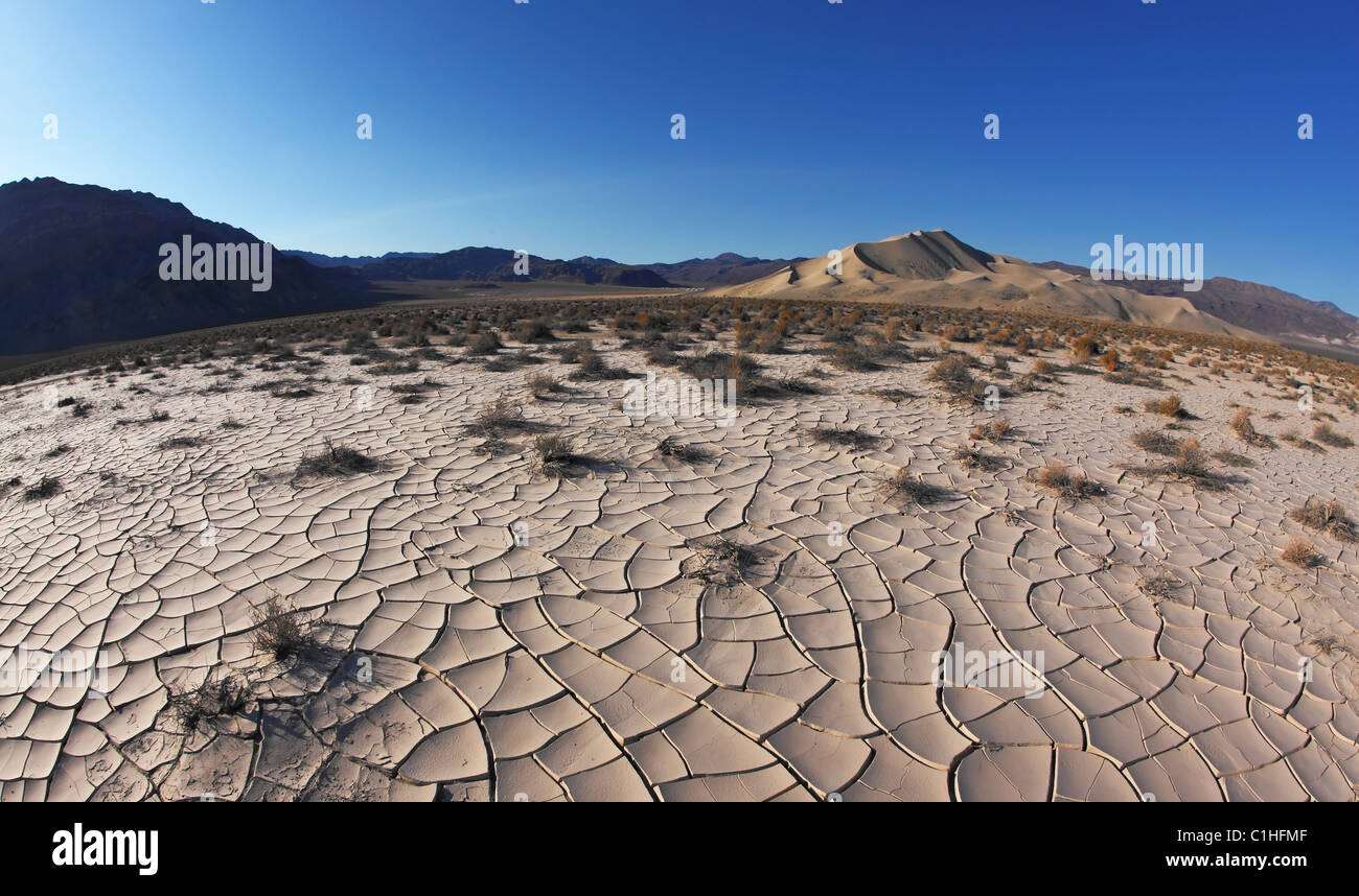 Fisheye lens hi-res stock photography and images - Alamy