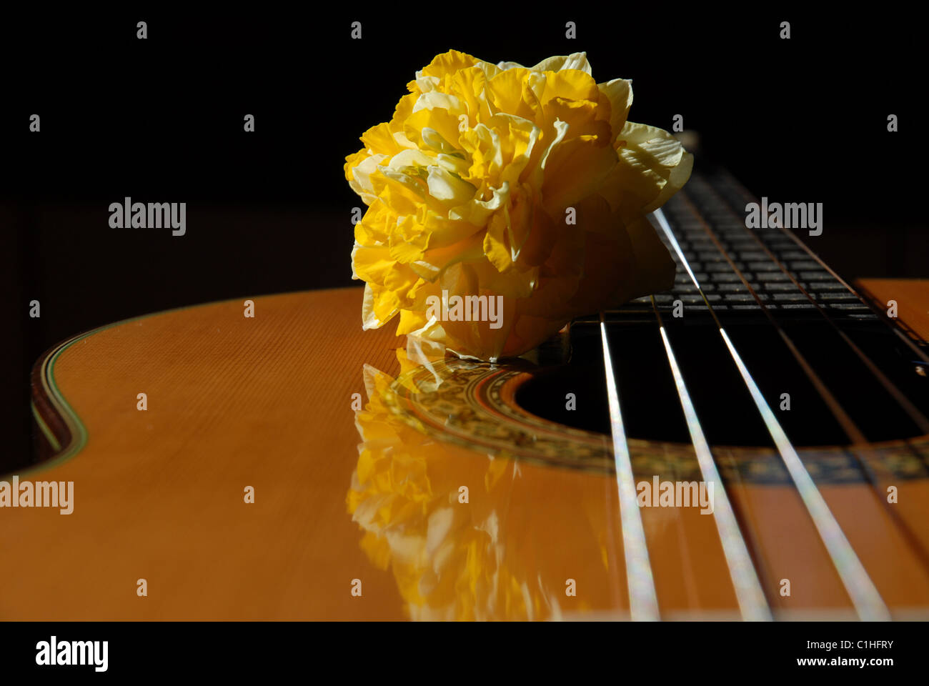classical guitar & daffodil flower Stock Photo