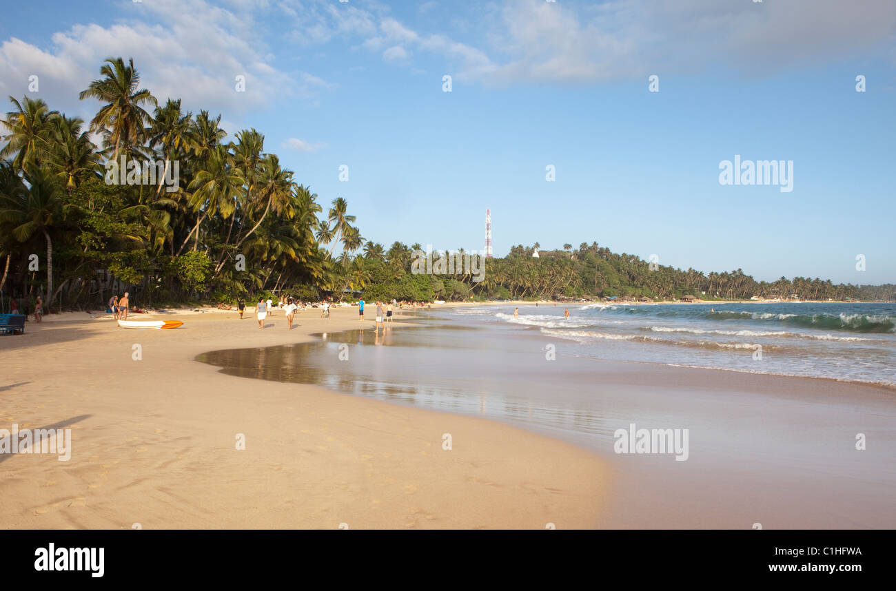 a-view-of-mirissa-beach-on-the-south-coast-of-sri-lanka-stock-photo-alamy