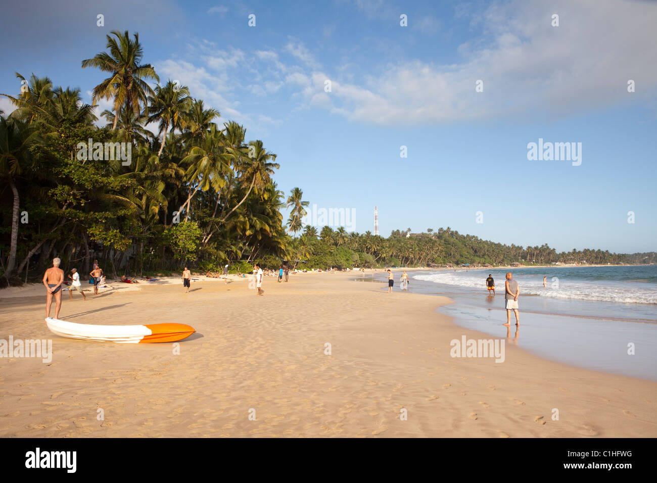 a-view-of-mirissa-beach-on-the-south-coast-of-sri-lanka-stock-photo-alamy