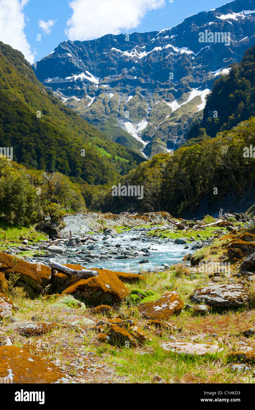 The upper Wilkin river valley on the south island of New Zealand Stock Photo