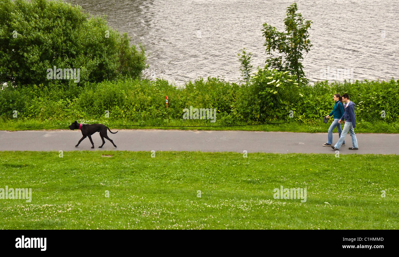 A young man and woman walk a black dog along the river Weser - Bremen, Germany Stock Photo
