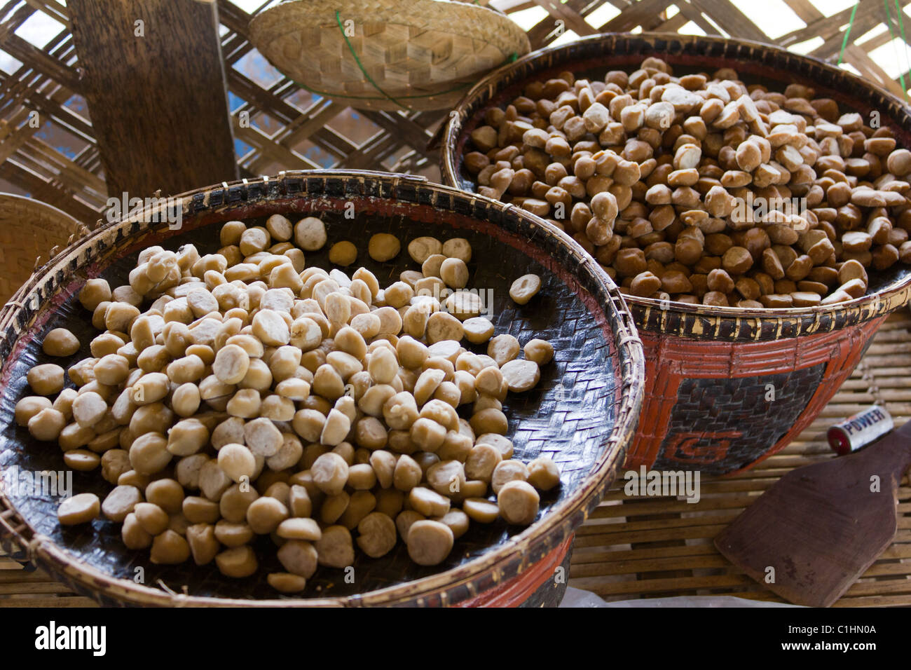 Toddy palm hires stock photography and images Alamy