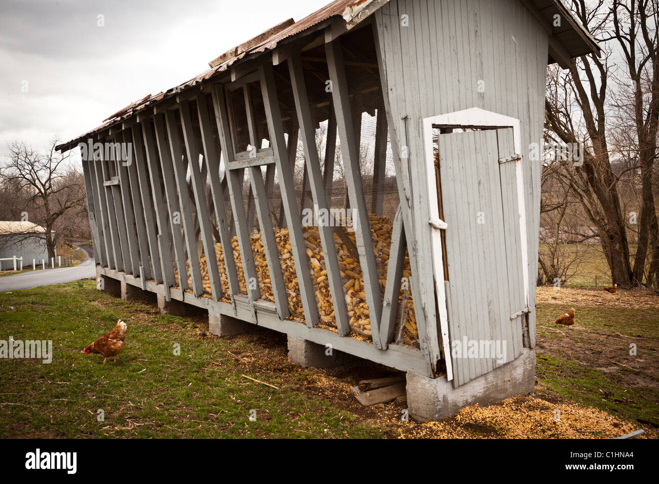 Amish corn storage bins on a farm near East Earl, PA Stock Photo Alamy