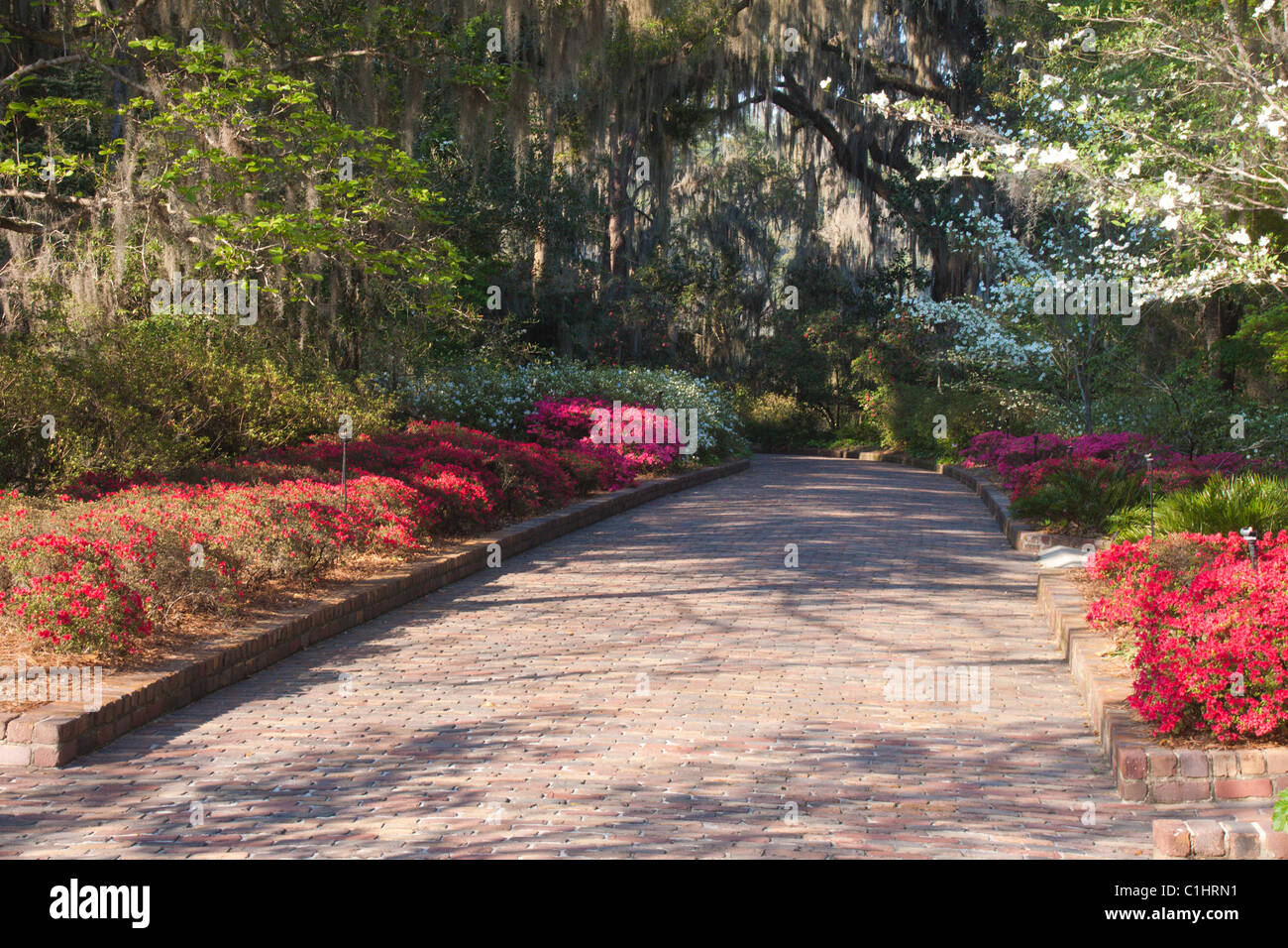 Maclay Gardens, Tallahassee, Florida, USA Stock Photo Alamy