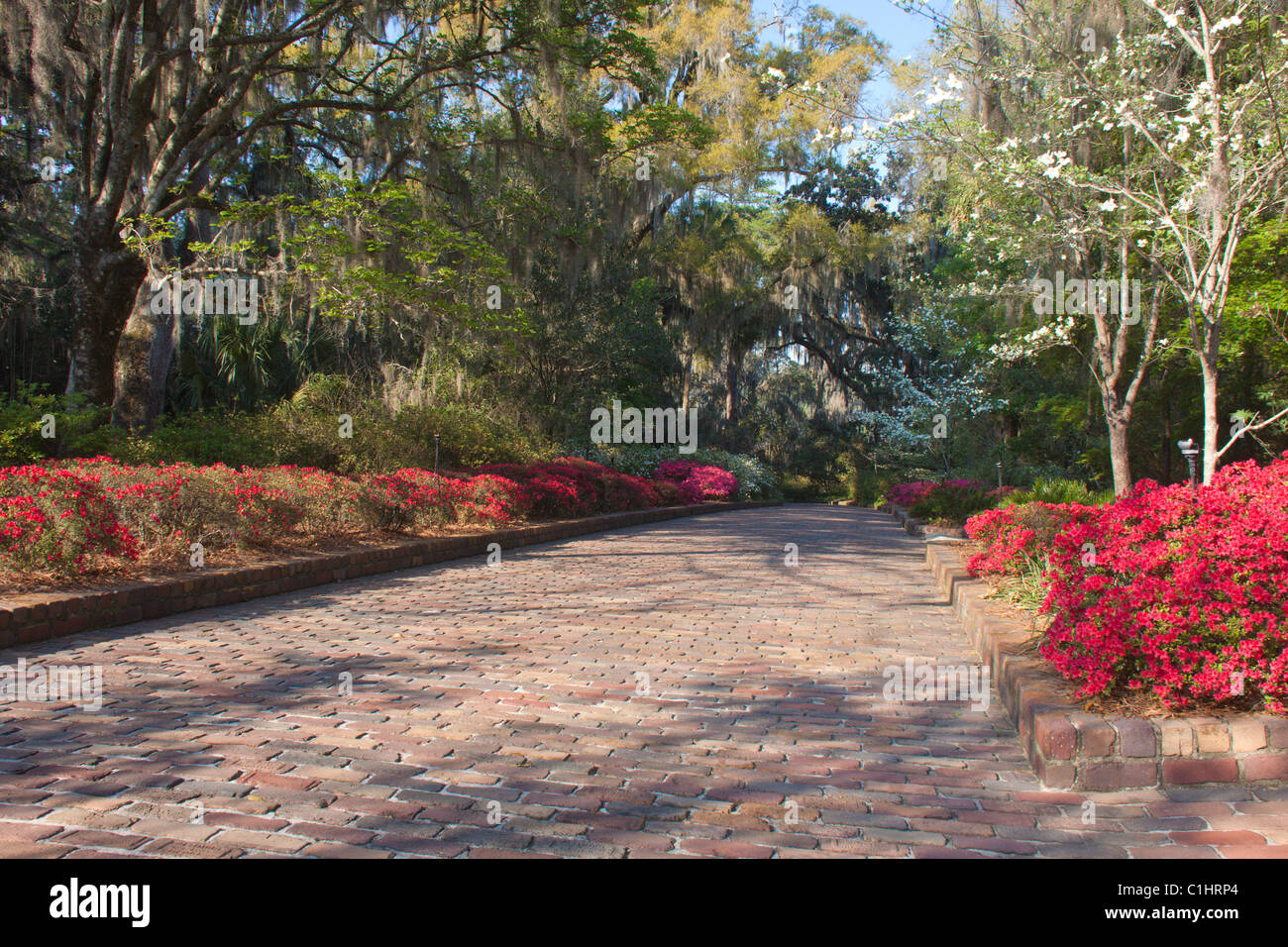Maclay Gardens, Tallahassee, Florida, USA Stock Photo Alamy