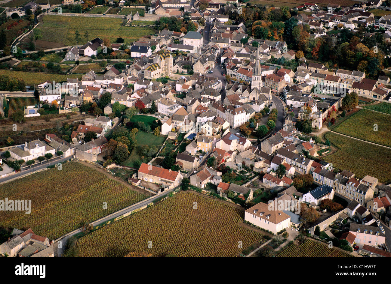 France, Cote d'Or, city of Meursault in the heart of one of the noblest vineyard of white wine Stock Photo