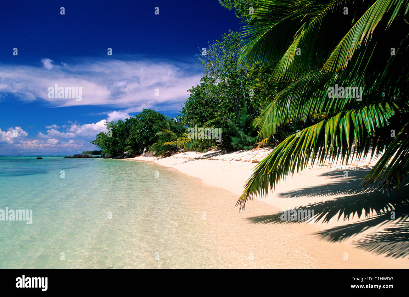 Madagascar, East coast, beside the Sainte Marie Island (Nosy Boraha), the  small Island île aux nattes Stock Photo - Alamy