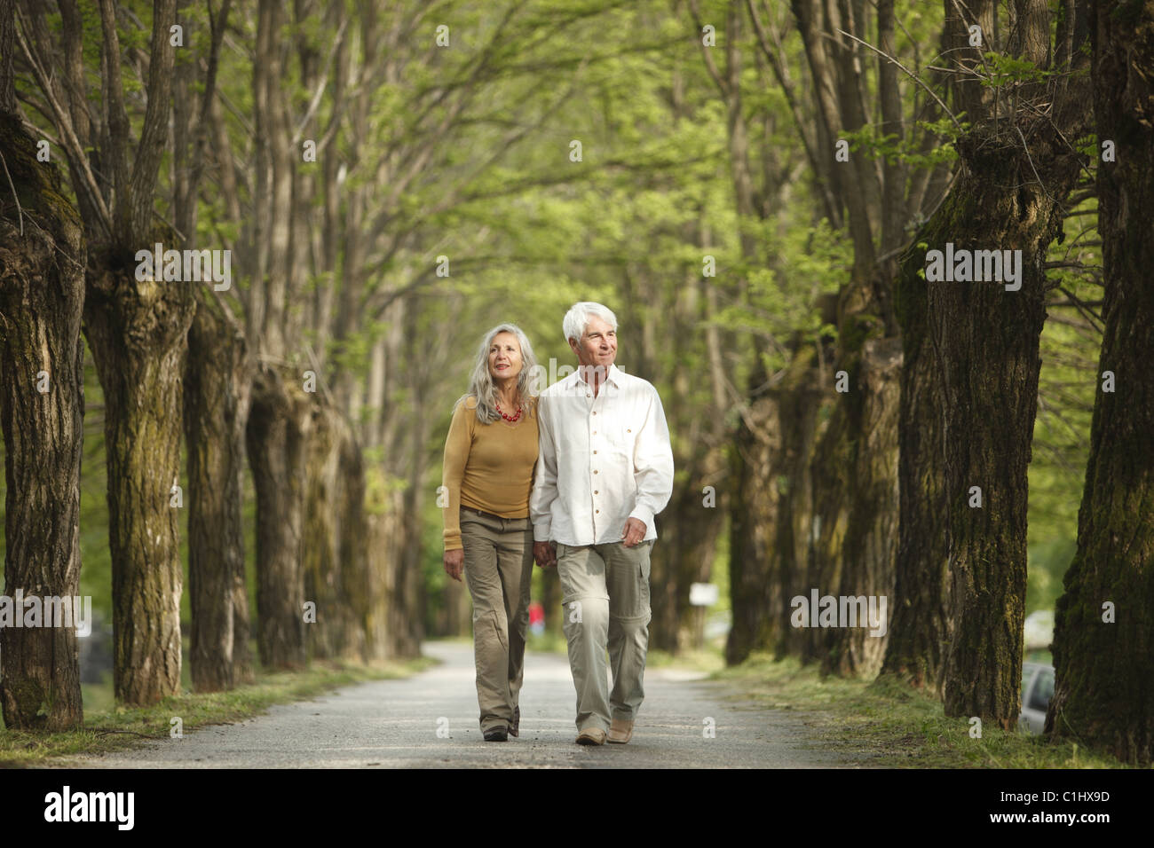 Senior couple walking hand in hand on a tree-lined road, Italy Stock ...