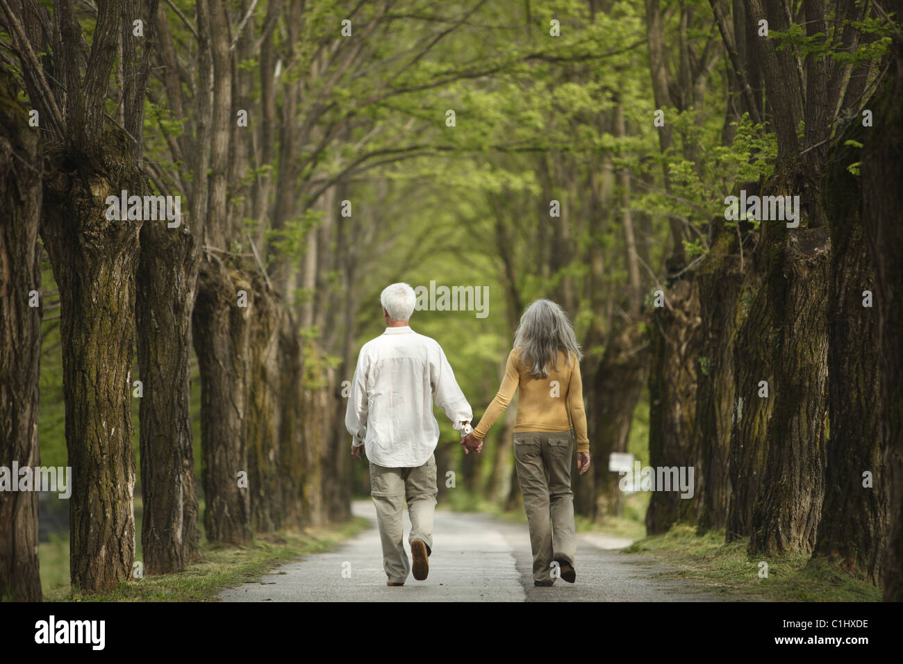 Senior couple walking hand in hand on a tree-lined road, Italy Stock ...