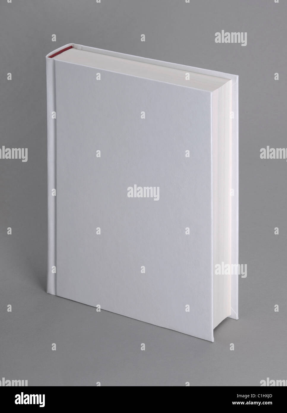 White standing book isolated by the gray background Stock Photo
