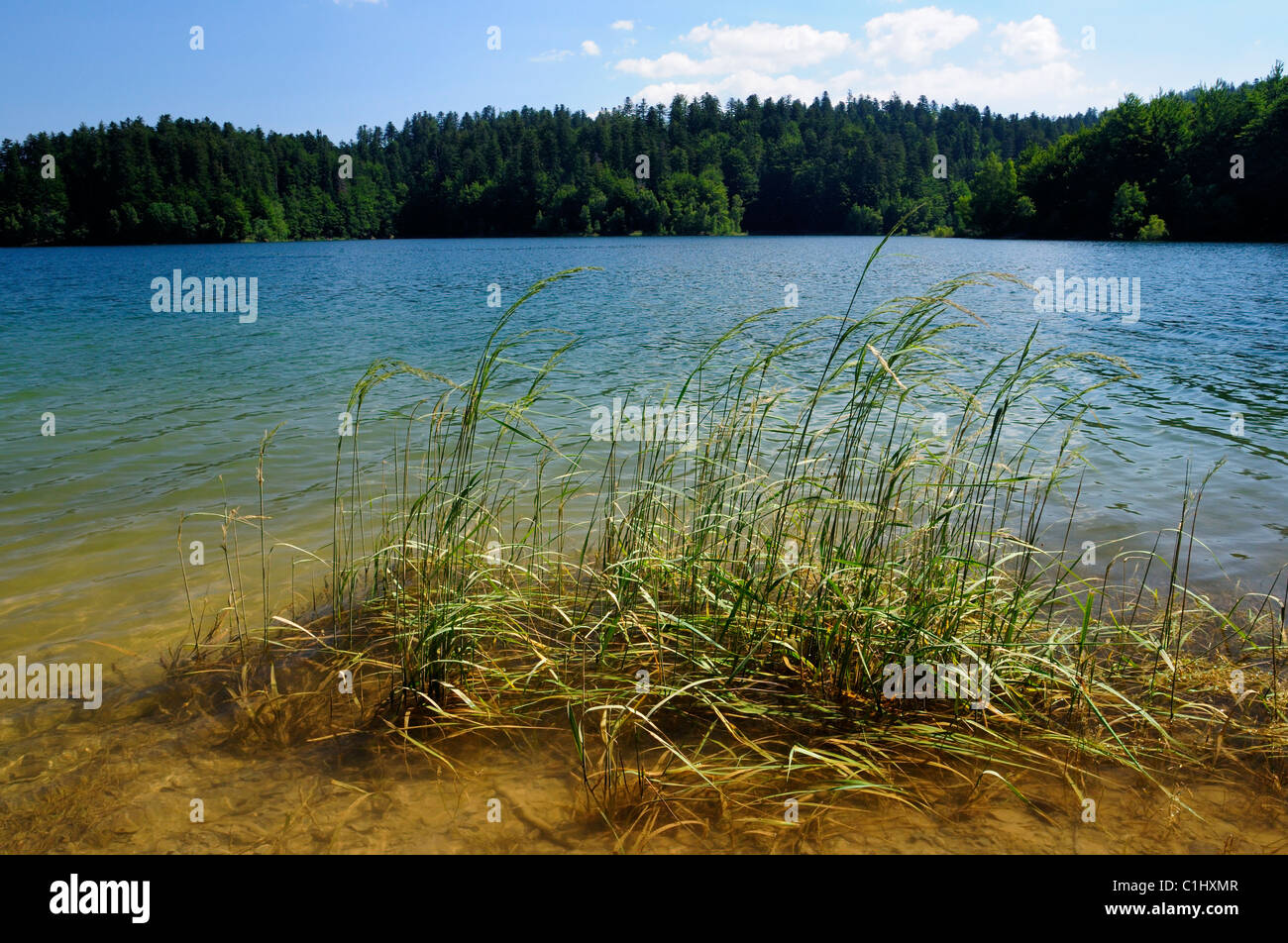 Summer breeze on Lokvarsko Lake near Lokve, Gorski kotar, Croatia Stock Photo